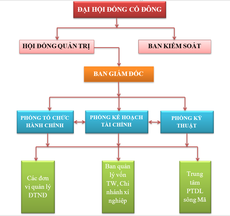 Sơ đồ tổ chức